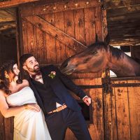 Moment drôle des mariés avec un cheval